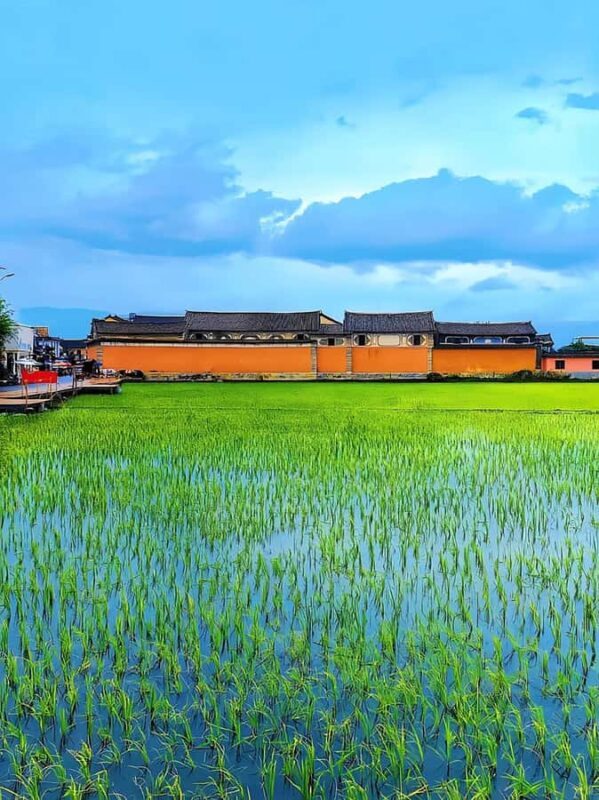 Dali: Xizhou Ancient Town Private Half-Day Tour - Summary: Who Will Love This Tour?