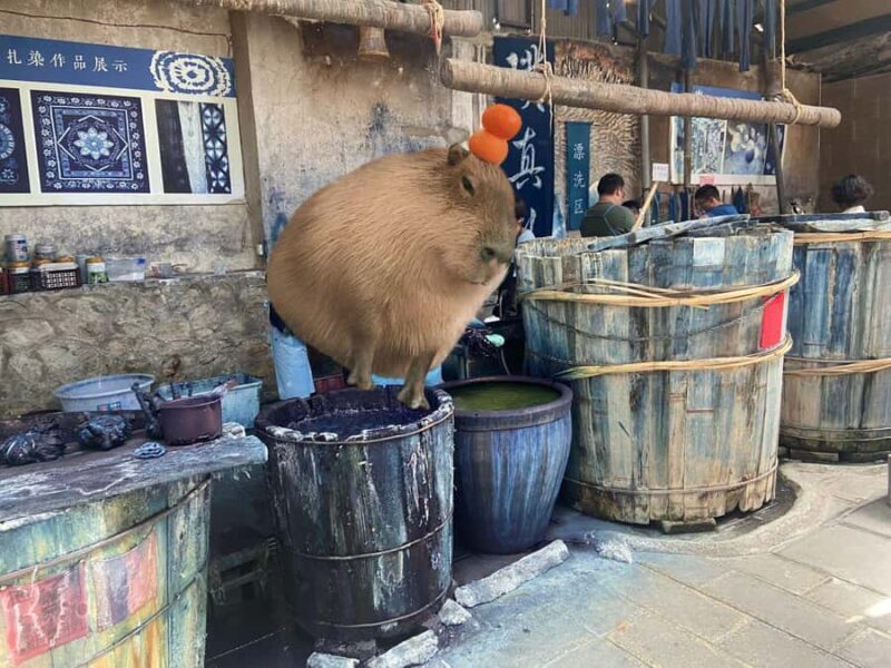 Dali: Zhoucheng Village Tie-Dyeing Experience Private Tour - Exploring Zhoucheng’s Traditional Alleys