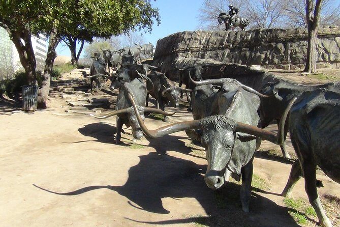 Dallas and Fort Worth City Sightseeing Tour Small-Group - FAQ