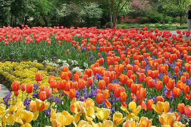 dallas-arboretum-and-botanical-gardens-tour