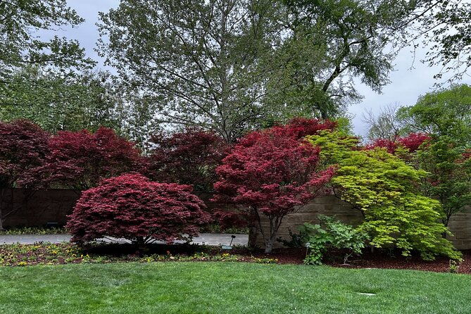 dallas-arboretum-and-botanical-gardens-tour