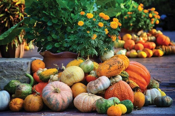 dallas-arboretum-and-botanical-gardens-tour