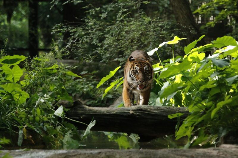 dallas-citypass-save-up-to-49-at-4-top-attractions