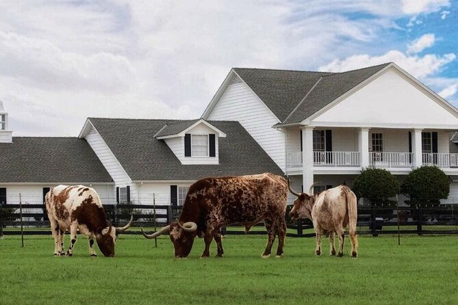 dallas-southfork-ranch-private-limousine-tour