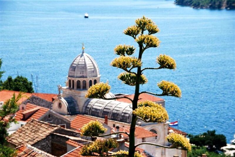 dalmatian-delights-food-wine-tour-from-split-or-trogir