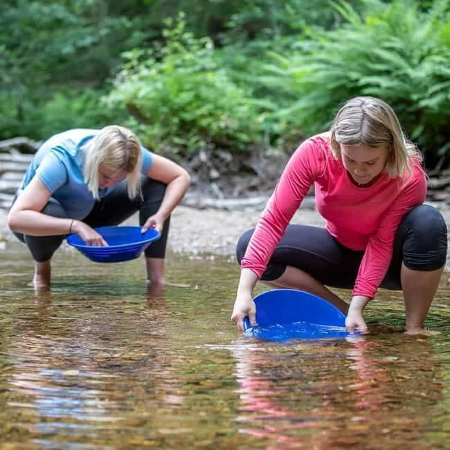 Dals Långed: Gold Panning Experience - What to Expect During Your Gold Panning Adventure