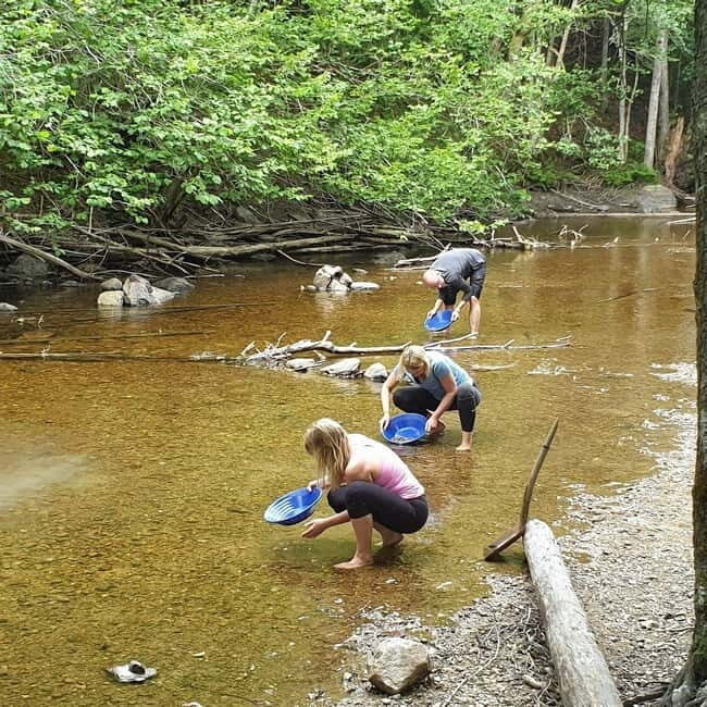 Dals Långed: Gold Panning Experience - Why This Experience Is Worth Considering
