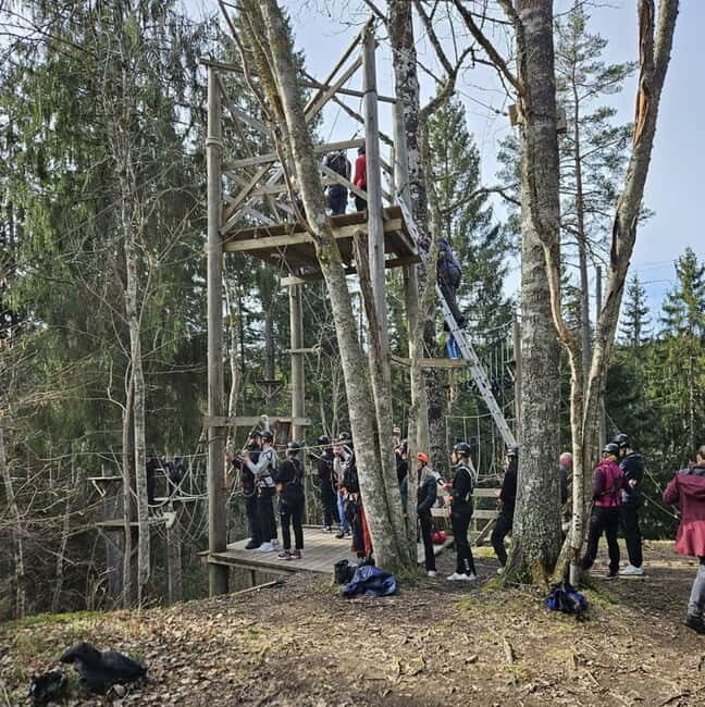 Dals Långed: High Ropes Adventure for Adults and Kids - Why This Experience Works for Different Travelers
