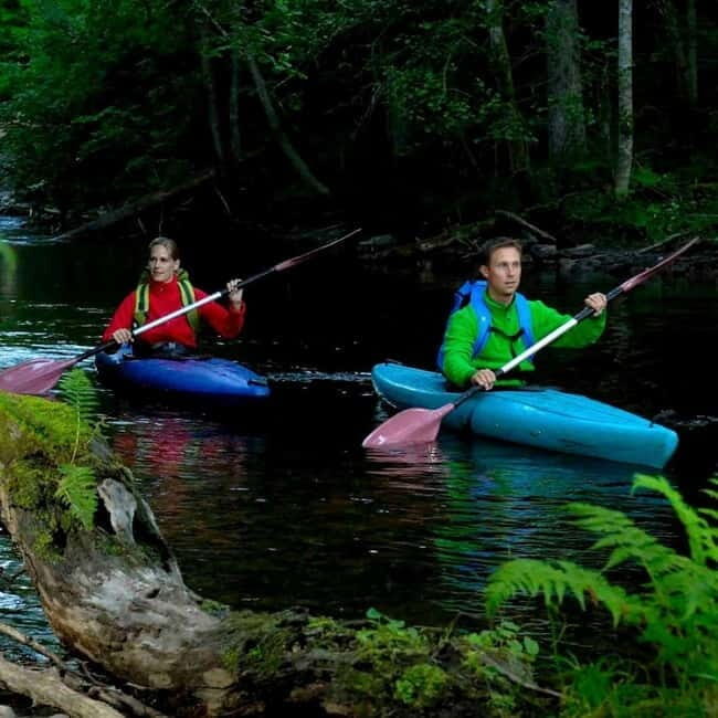 Dals Långed: Steneby River Kayaking Tour - Key Points