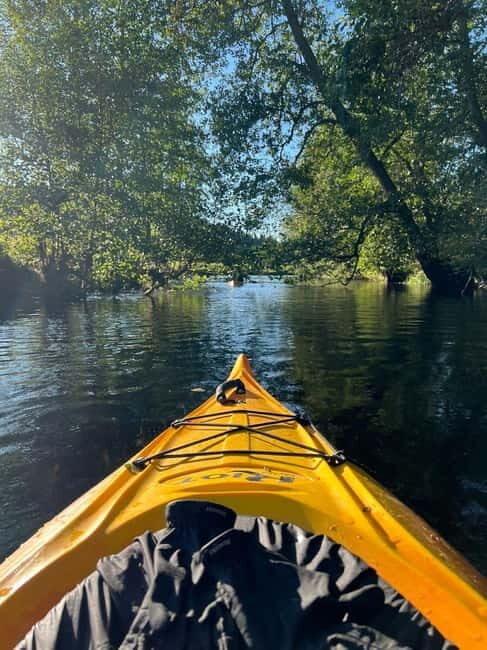Dals Långed: Steneby River Kayaking Tour - An Authentic Kayaking Experience in Västra Götaland