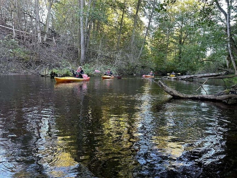 Dals Långed: Steneby River Kayaking Tour - Practical Details and Value