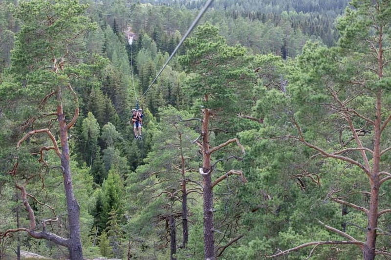 Dals Långed: Zipline Adventure at Steneby Gård - Key Points