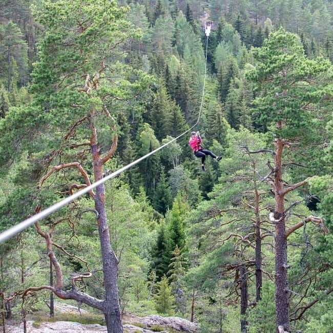 Dals Långed: Zipline Adventure at Steneby Gård - The Experience: What to Expect from Start to Finish