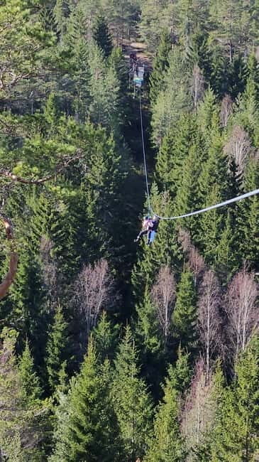 Dals Långed: Zipline Adventure at Steneby Gård - Why This Tour Is a Great Choice
