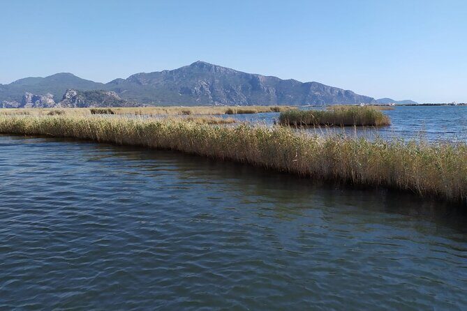 Dalyan Mud Bath and Turtle Beach from Sarigerme - FAQs