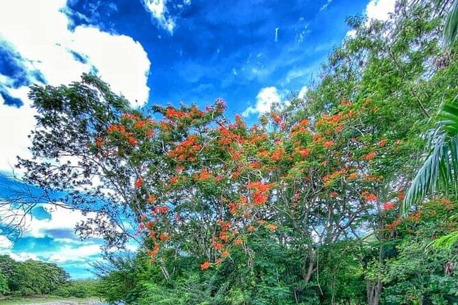 damajagua-the-7-waterfalls-excursion-amber-cove-taino-bay