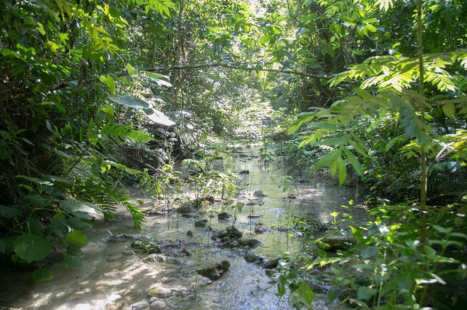 damajagua-waterfalls-adventure