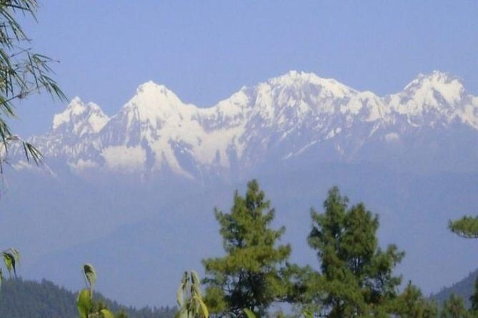 Daman Day Excursion Tour in Nepal - An Overview of the Daman Day Excursion