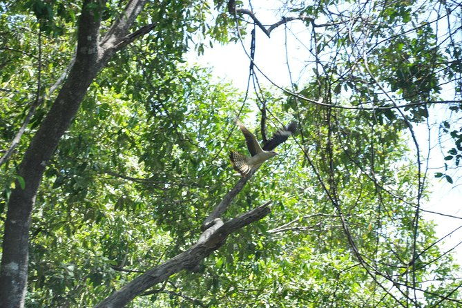 damas-island-by-boat-tour-from-manuel-antonio