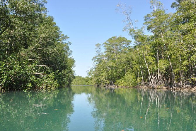 damas-island-by-boat-tour-from-manuel-antonio