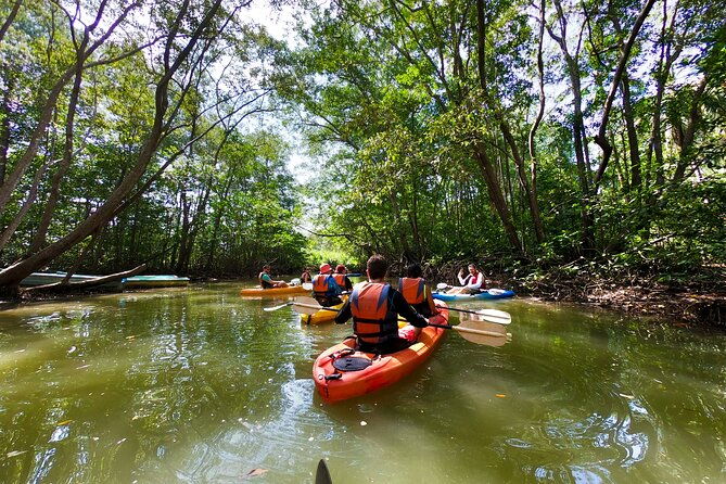 damas-island-kayaking-tour-from-manuel-antonio
