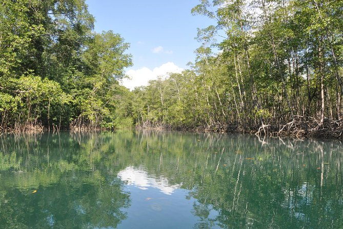 damas-island-mangrove-boat-tour-from-manuel-antonio