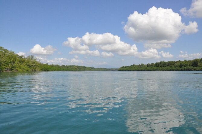 damas-island-mangrove-boat-tour-from-manuel-antonio