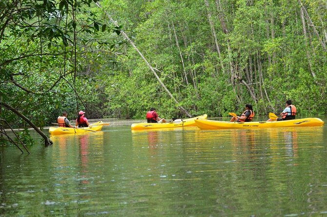 damas-island-mangrove-kayaking-tour-from-manuel-antonio