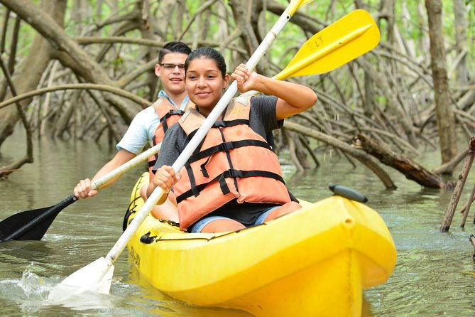 damas-island-mangrove-kayaking-tour-from-manuel-antonio