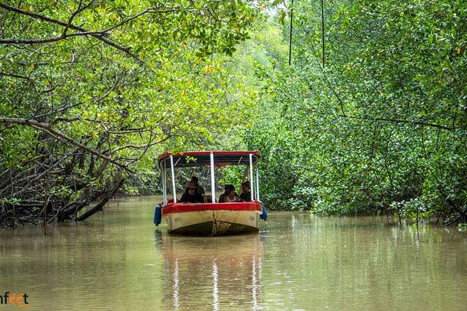 damas-mangroove-boat-tour-from-manuel-antonio