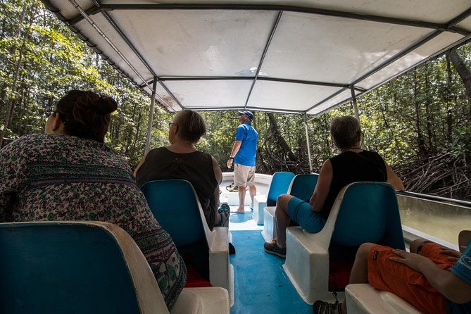 damas-mangroove-boat-tour-from-manuel-antonio