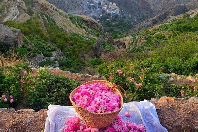 Damascus Roses - Discover the secrets of Al Jabal Al Akhdhar - Damascus Roses - Discover the secrets of Al Jabal Al Akhdhar
