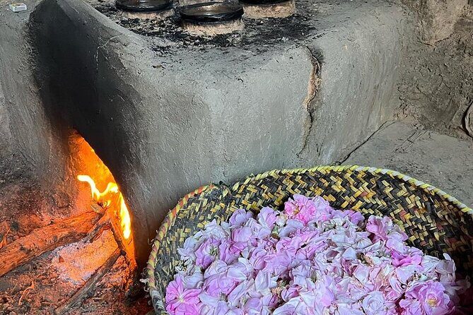Damascus Roses - Discover the secrets of Al Jabal Al Akhdhar - Who Will Love This Tour?