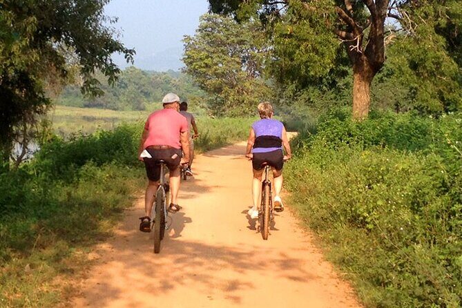 Dambulla and Sigiriya Cycling Tour from Colombo - FAQs