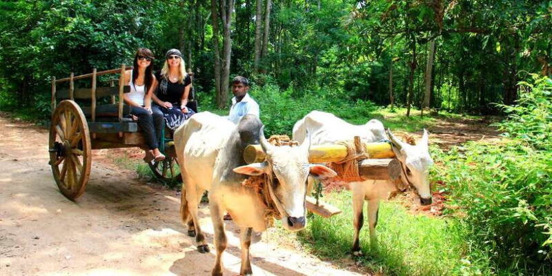 dambulla-cave-temple-and-village-all-inclusive-tour