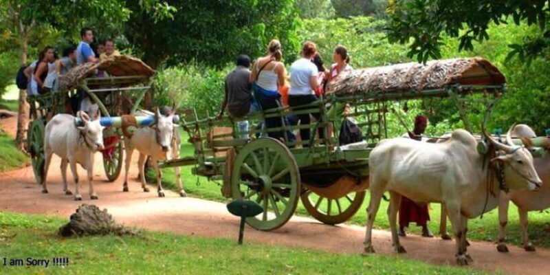 dambulla-caves-temple-traditional-village-tour-with-lunch