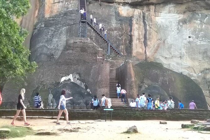 Dambulla, Sigiriya and National Park Safari Tour from Kandy - Detailed Breakdown of the Tour Experience