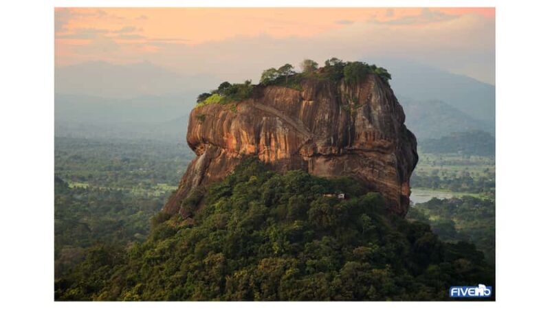 Dambulla: Sigiriya, Cave temple, Safari & Lunch Private Tour - Key Points