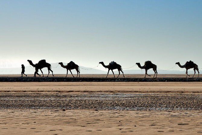 Danakil Depression and Lalibela 5 Days Tours - An In-Depth Look at the Itinerary