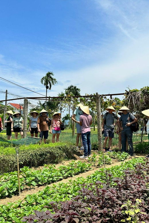 danang-hoi-an-vegetable-farming-basket-boat-cooking-class