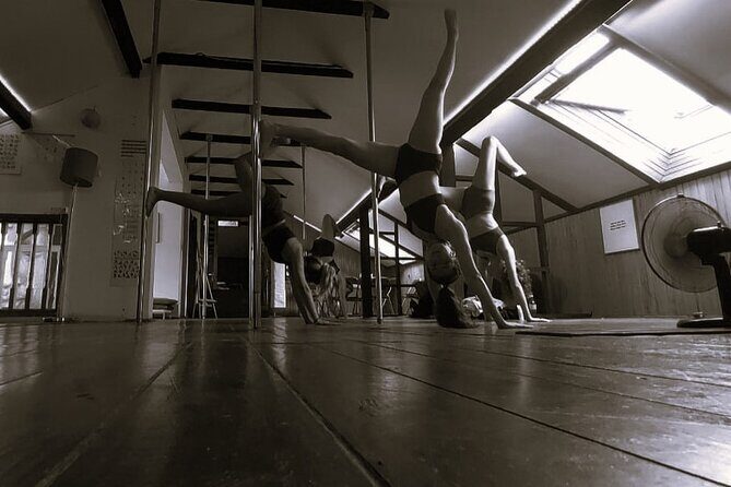 Dance Class (choose 1: Pole Dance, Burlesque or Aerial Silk/Hoop) - Why This Experience Is Worth Your Time in Madeira