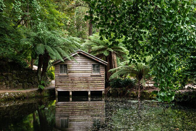 Dandenong Ranges Private Day Tour - What’s Included & What’s Not?