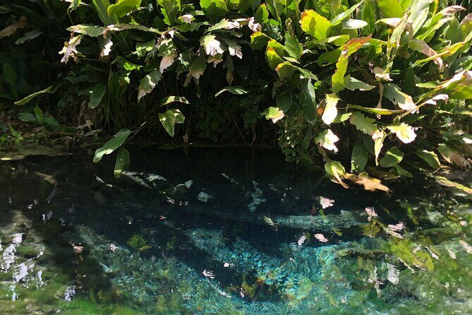 Dantewada Land of Angels and Sticky Waterfall Tour with Guide - Practical Details & What to Expect