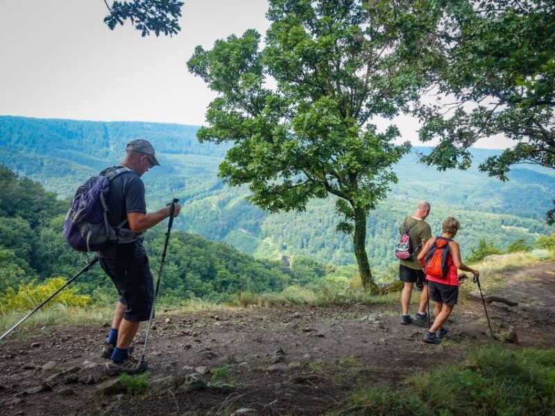danube-bend-full-day-hiking-tour-from-budapest