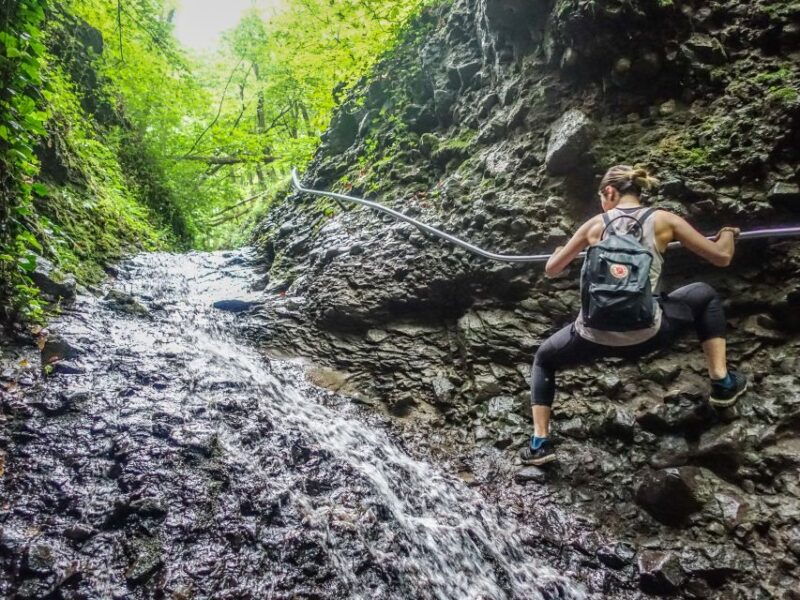 danube-bend-full-day-hiking-tour-from-budapest