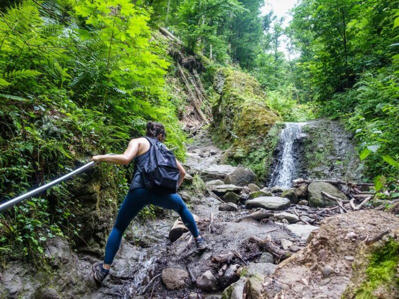 danube-bend-full-day-hiking-tour-from-budapest