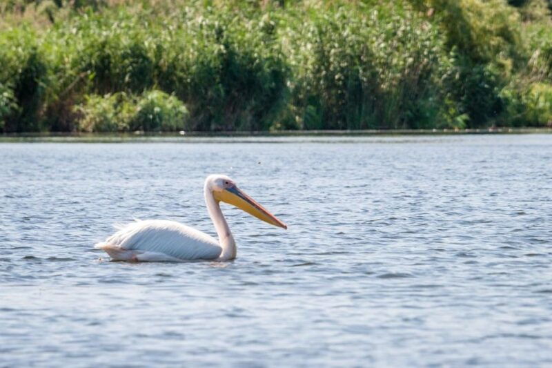 danube-delta-2-day-tour-from-bucharest