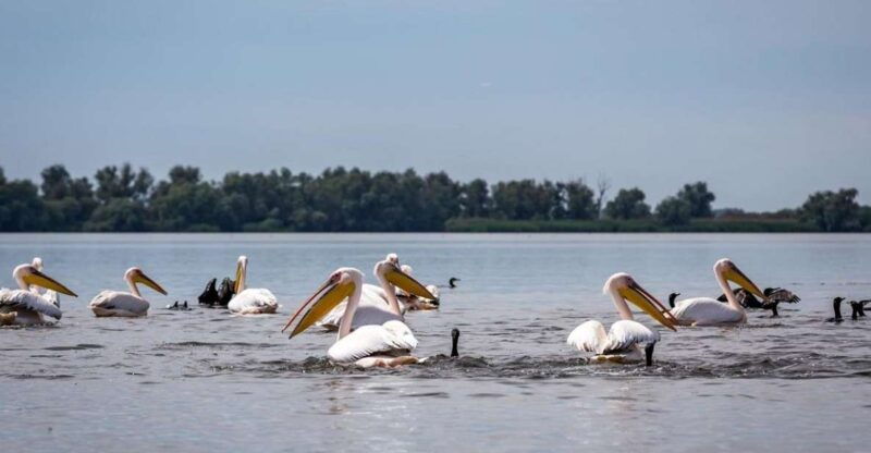 danube-delta-2-day-tour-from-bucharest