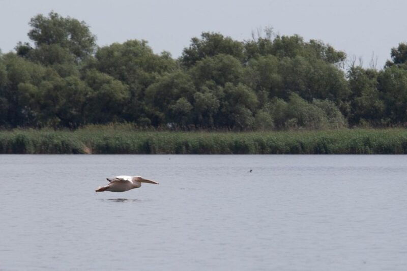 danube-delta-2-day-tour-from-bucharest