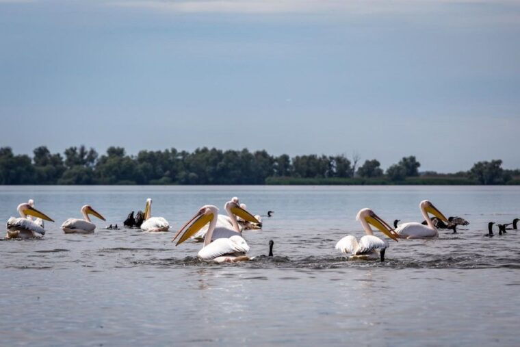 danube-delta-2-day-tour-from-bucharest
